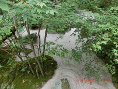 宝泉院　庭園