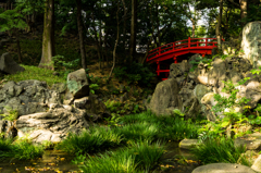 小石川後楽園　壱