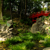 小石川後楽園　壱