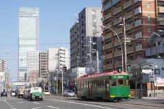 88歳と1歳