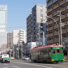 88歳と1歳
