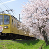 桜と近江鉄道