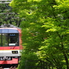 青もみじの横から