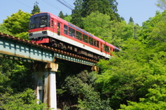 青もみじのトンネルを抜けて