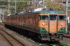 かぼちゃ