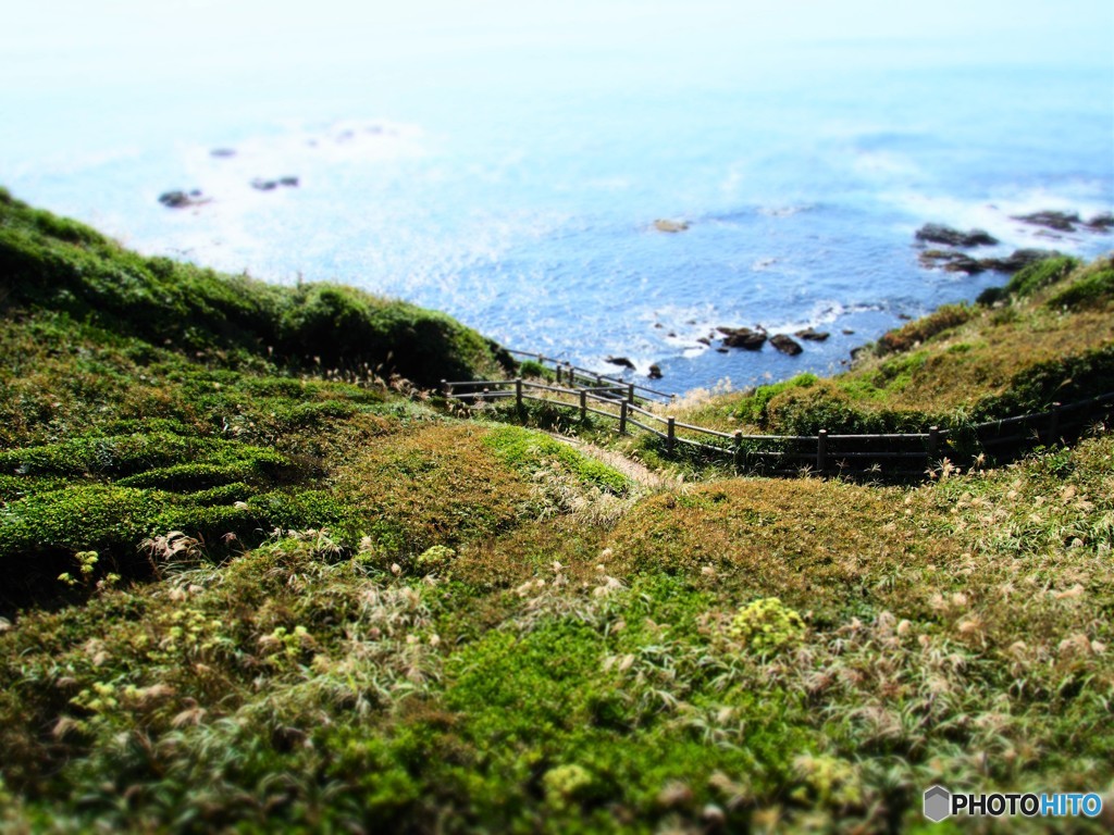 城ヶ島１