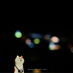 ぼーとしたい夜。