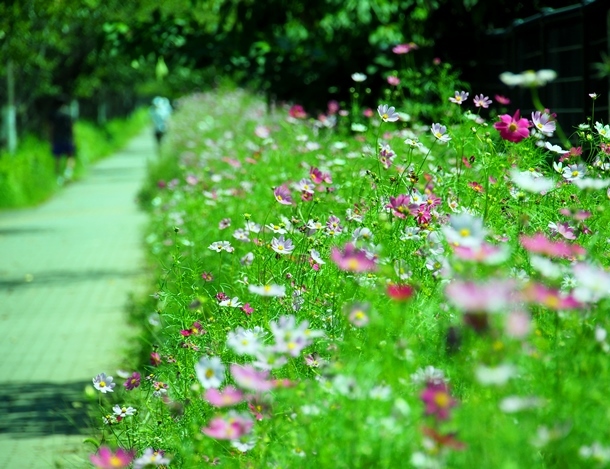 この道の先にはね。