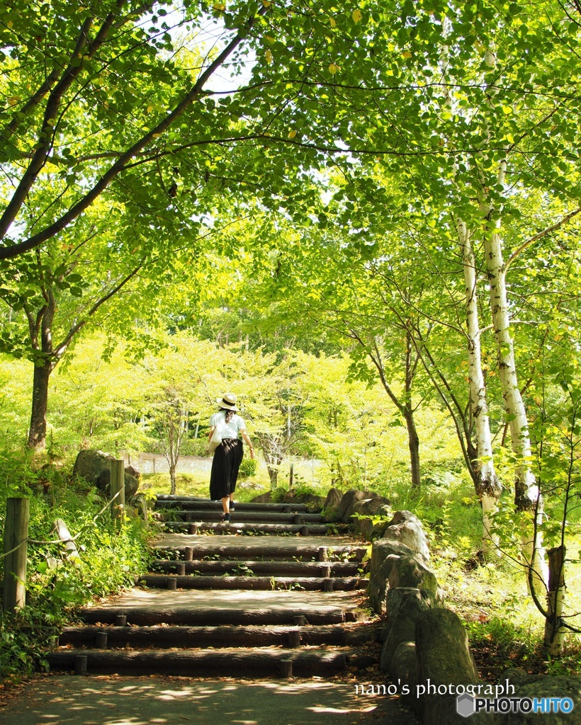 旅7　「森林浴」