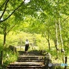 旅7　「森林浴」