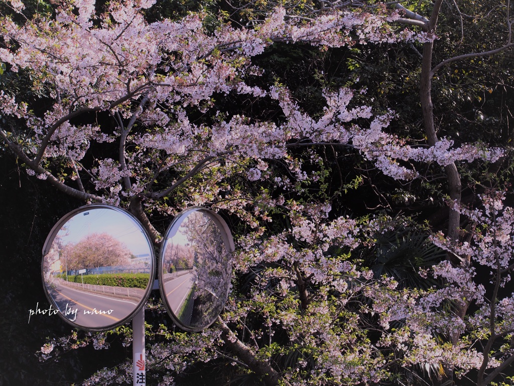 mirror