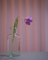 ほら　頭重いんだって。