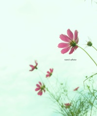 よくよく見たら