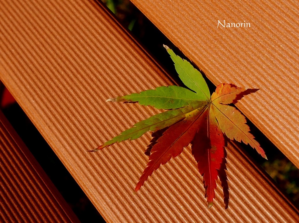 グラデーション