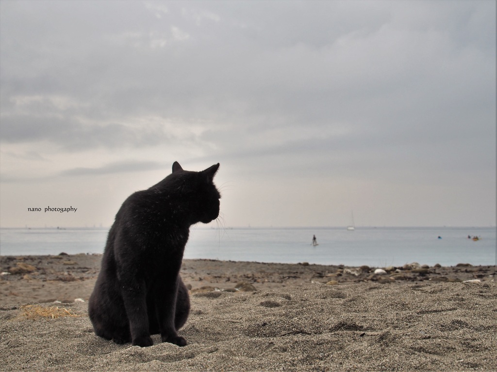 なのりん　何でも聞いてよ。