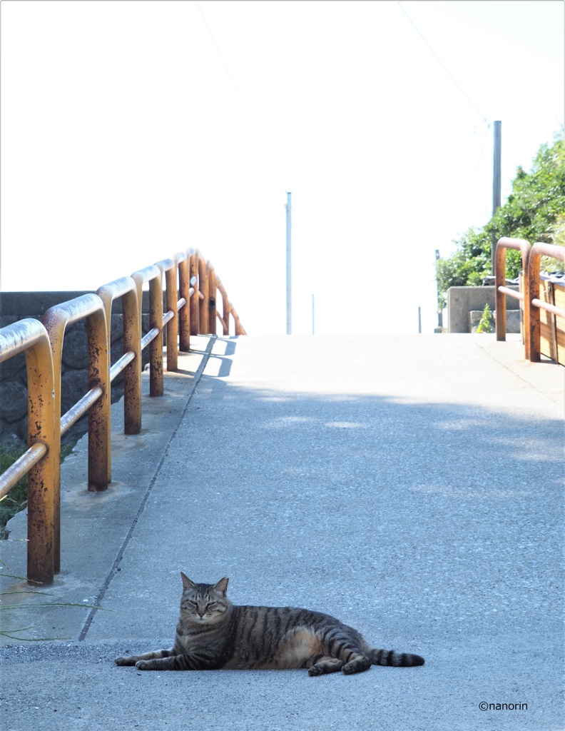 坂の向こうは海