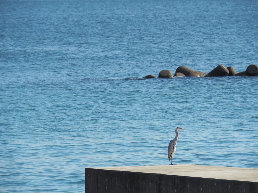 何考えてるの？