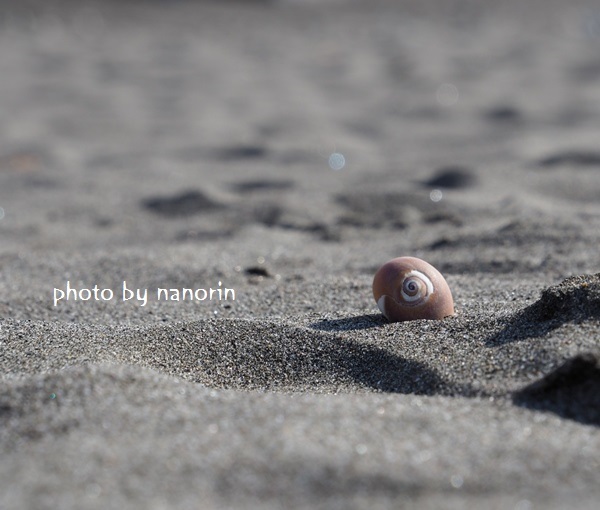 2.大好きな海から。