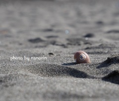 2.大好きな海から。