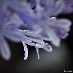 雨の中。