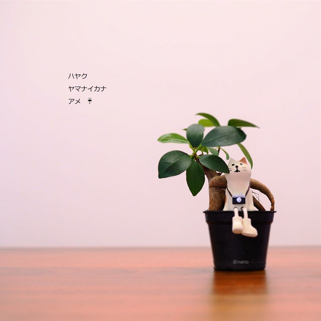 いま春の嵐。