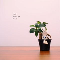 いま春の嵐。