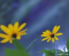 今日もおつかれちゃん