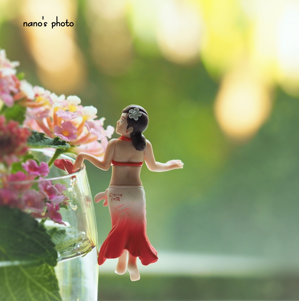 水着のフチ子さん