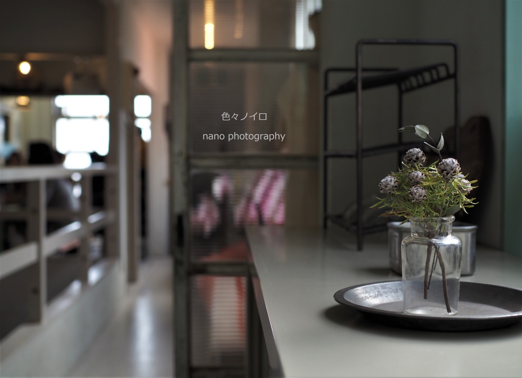 色々ノイロ　写真展3