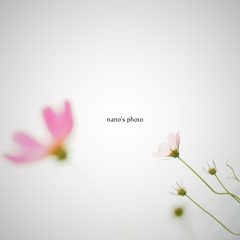 nano cosmos1