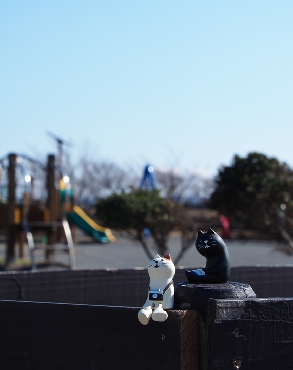 sugar を見守る　chocolate