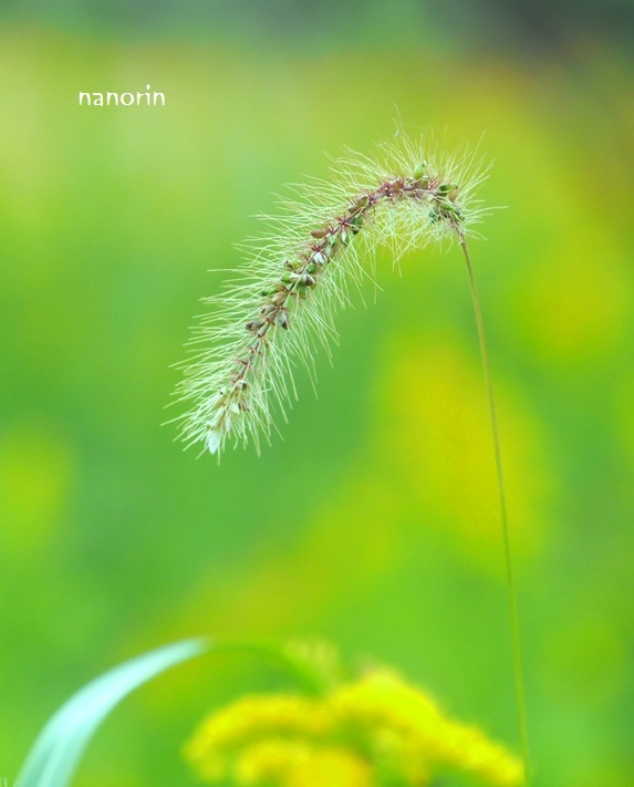 足もとみてね。