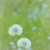 ずっと。