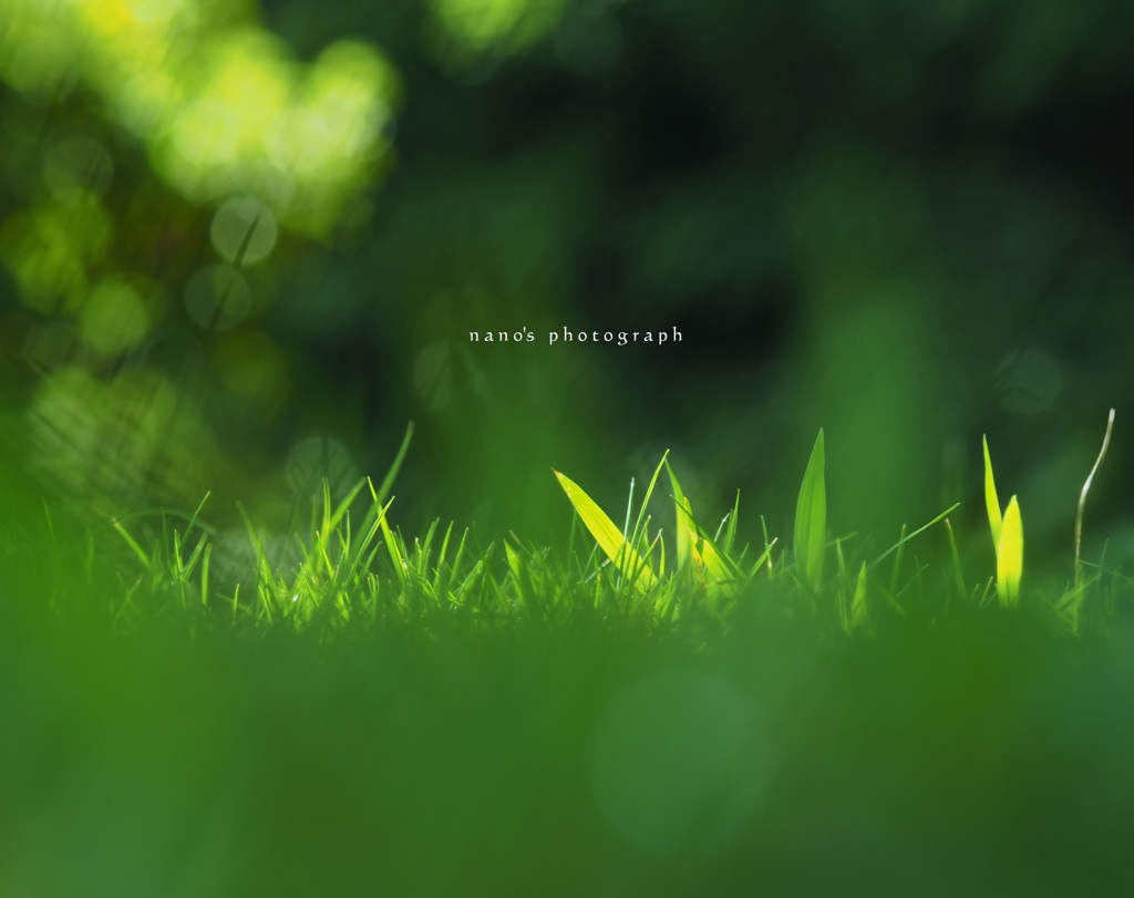 greeeeeeeen