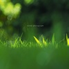 greeeeeeeen