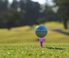 この日のマイボール。