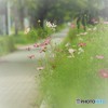 nano cosmos5