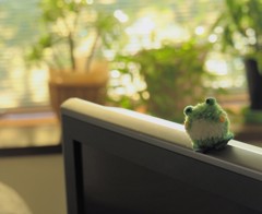 かえる。