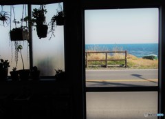 cafe sprout 2