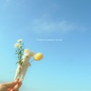 今日のお花　ネズミに持たせた編