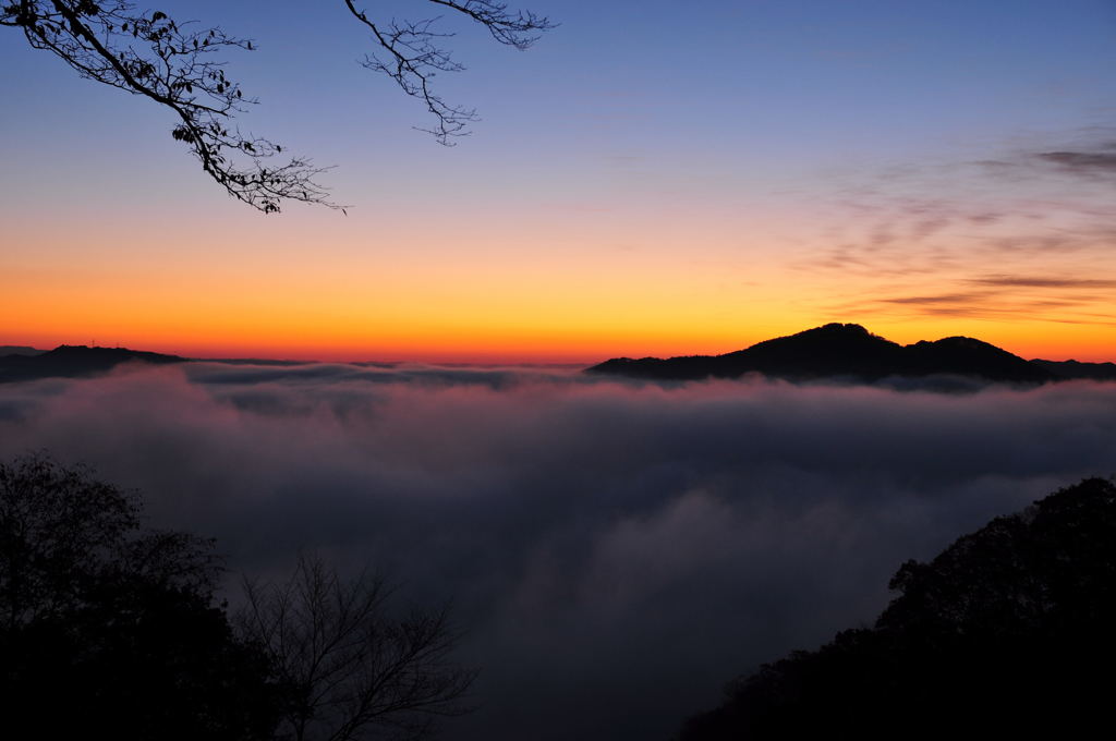 夜明け前の雲海