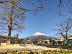 浅間大社より富士山をみる