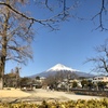 浅間大社より富士山をみる