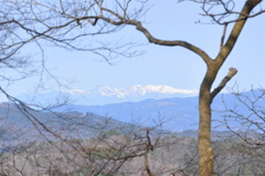 遠く雪山に冬を見る