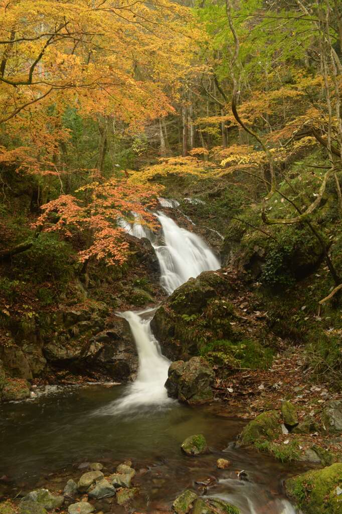 下滝の紅葉