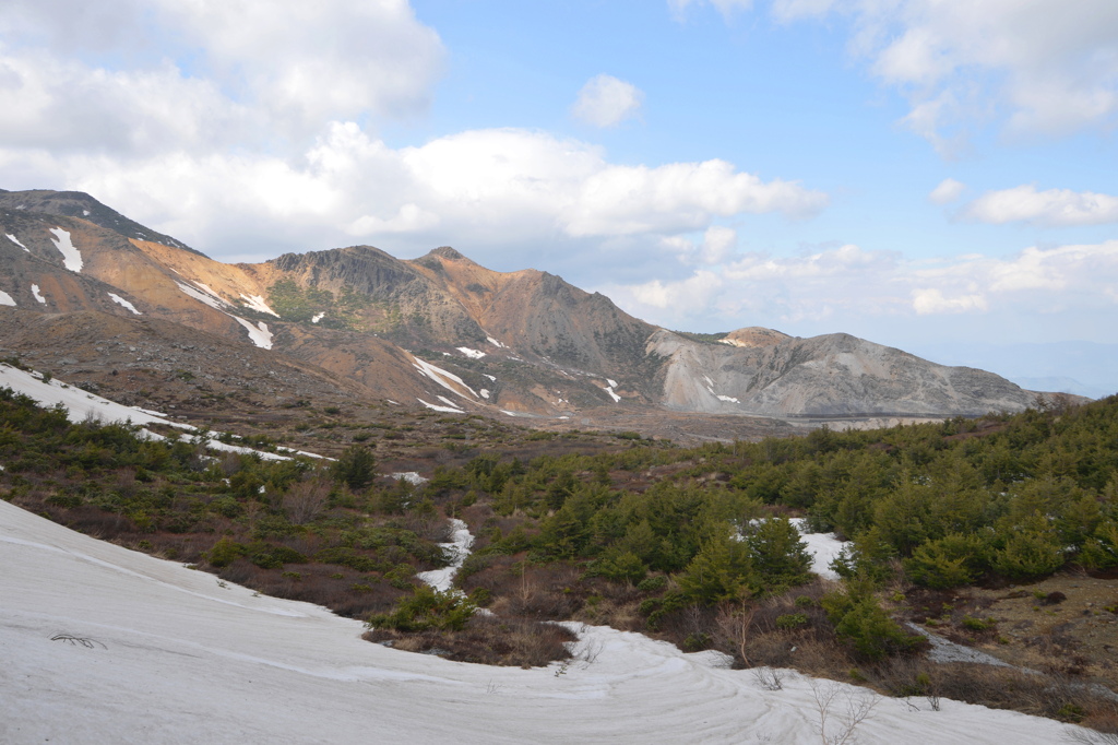 新緑から雪渓