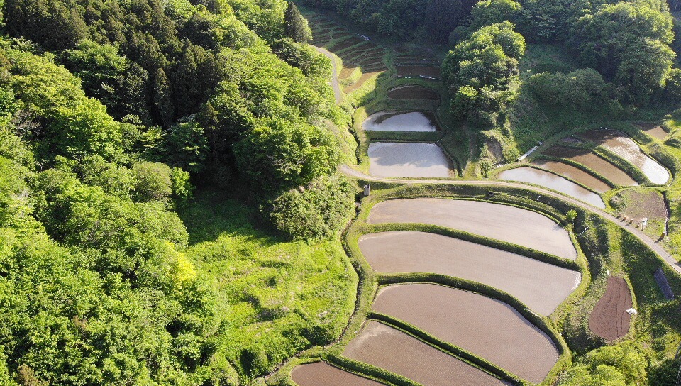 棚田を求めて