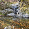 水面の風景を狙って