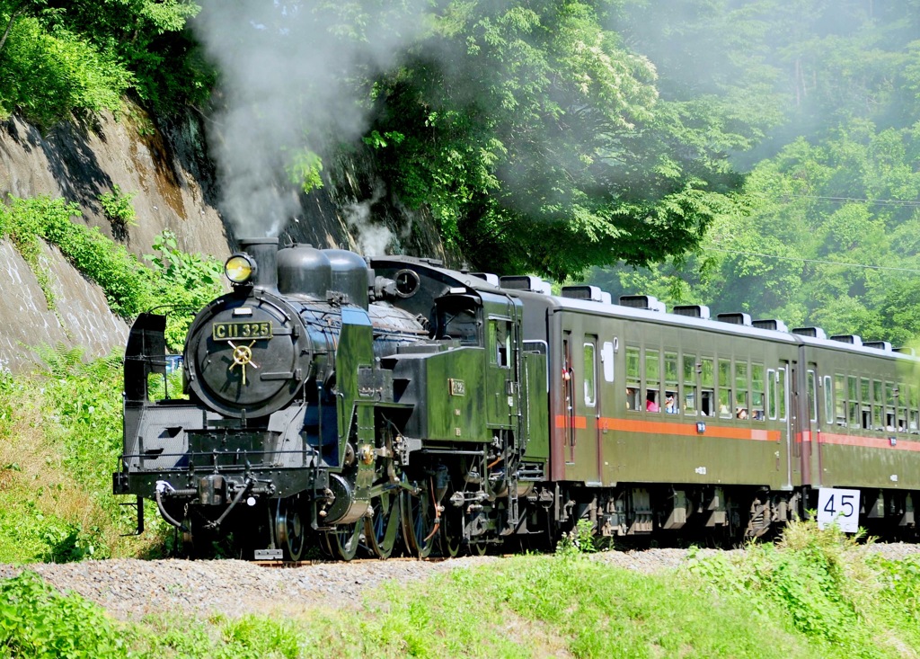真岡鉄道 C11