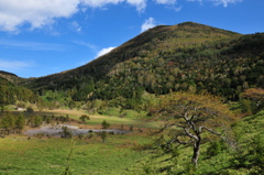 太郎山と枯沼